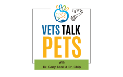 Episode 1: Introduction to Vets Talk Pets!